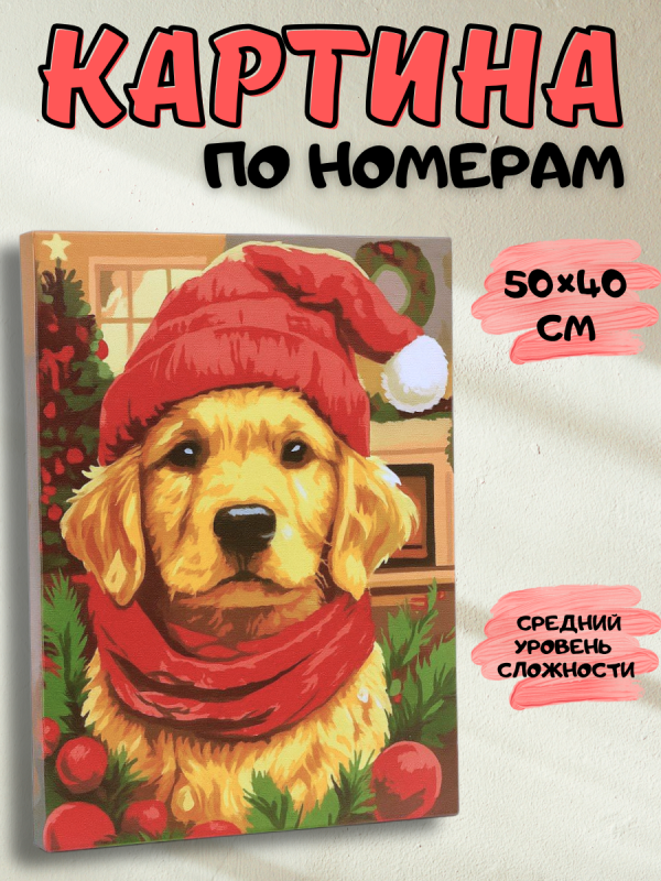 2_20251026_213631_0001