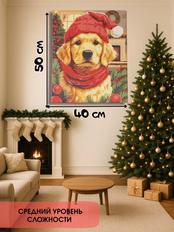 3_20251026_213631_0002