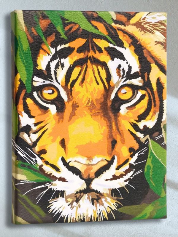 photo_2025-11-09_19-50-12