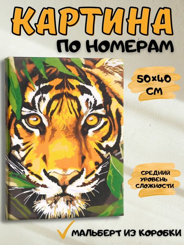 photo_2025-11-09_19-50-14