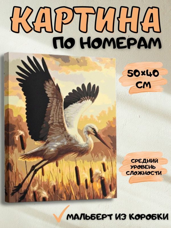 photo_2025-11-25_16-33-45