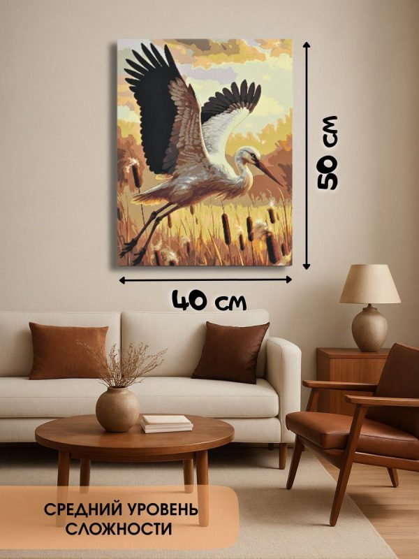 photo_2025-11-25_16-33-49