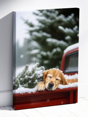 photo_2025-11-25_21-11-33