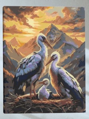 photo_2025-11-30_20-39-11