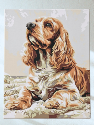 1_20251208_210519_0000