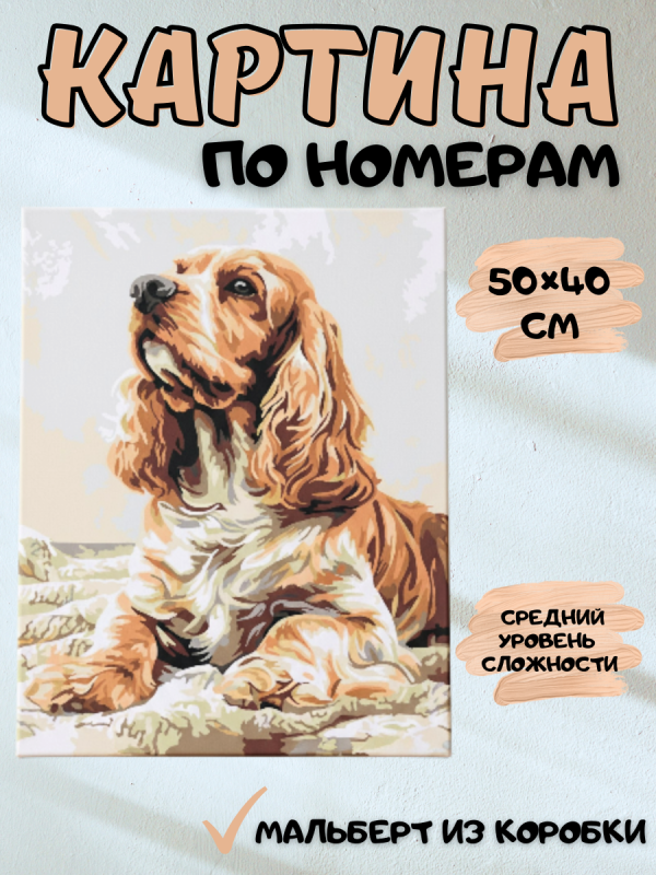 2_20251208_210519_0001