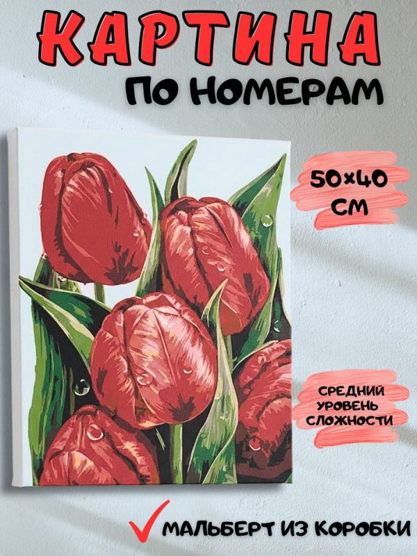 photo_2026-01-23_13-49-38